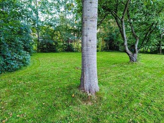 Der hintere Gartenbereich