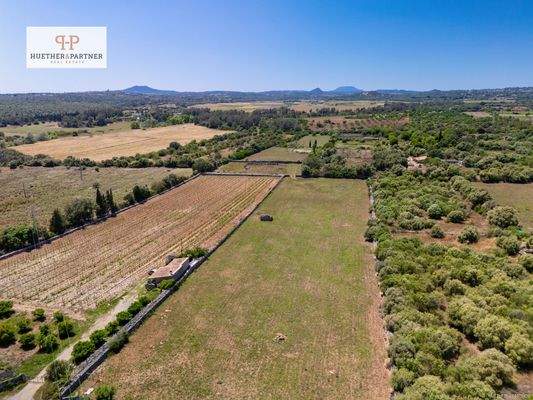 Grundstück Santa Margalida