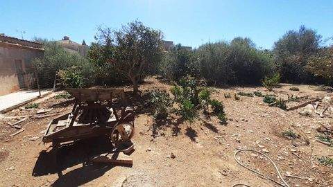 Alqueria Blanca Grundstücke, Alqueria Blanca Grundstück kaufen