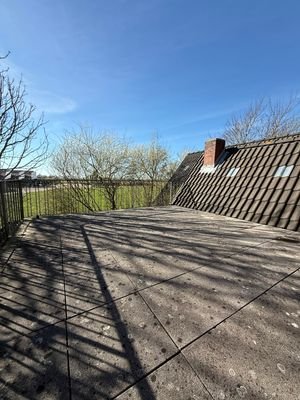 IMG_8447