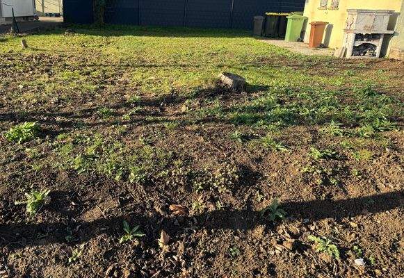 Grundstück Markgröningen.jpg