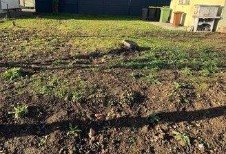 Grundstück Markgröningen.jpg