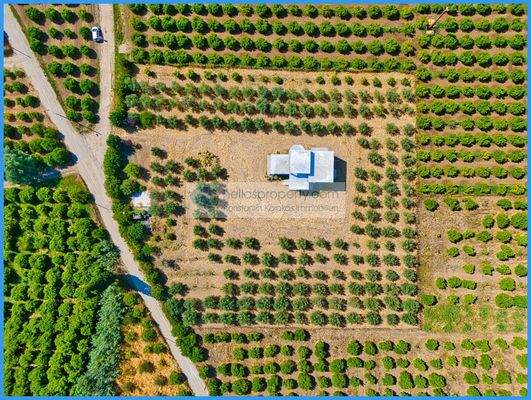 952d422cb8314da9851820b46b494f8a-original