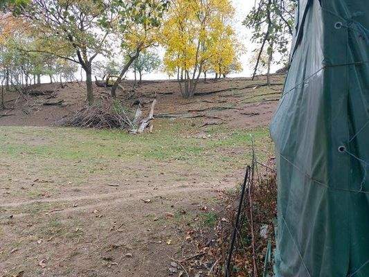 Der ebene, untere  Teil des Grundstücks