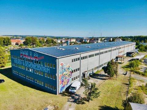 Glauchau Halle, Glauchau Hallenfläche