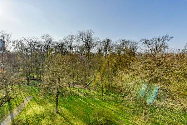 Blick nach Süd-Westen