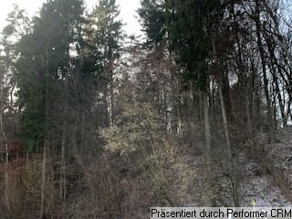 Geisenfeld Bauernhöfe, Landwirtschaft, Geisenfeld Forstwirtschaft