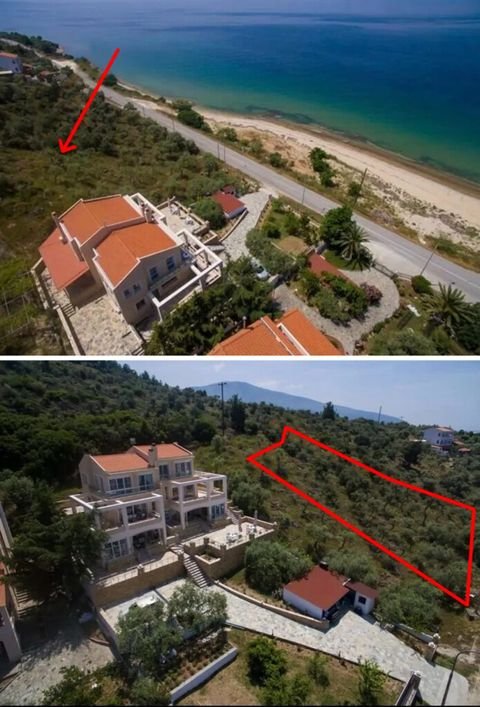 Thassos Bauernhöfe, Landwirtschaft, Thassos Forstwirtschaft