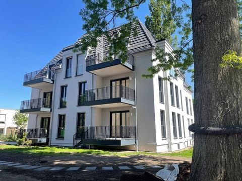 Dresden Wohnungen, Dresden Wohnung mieten