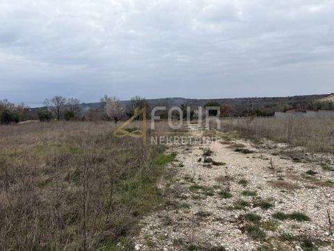 Peruski, Kavran, Pavicini Bauernhöfe, Landwirtschaft, Peruski, Kavran, Pavicini Forstwirtschaft