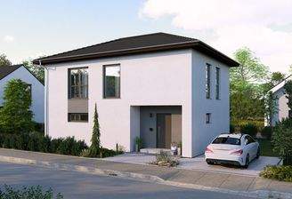 Ansicht Eingang Walmdach