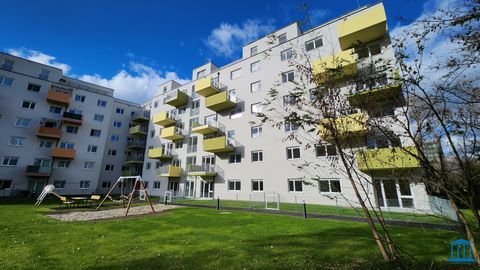 Wiener Neustadt Wohnungen, Wiener Neustadt Wohnung mieten