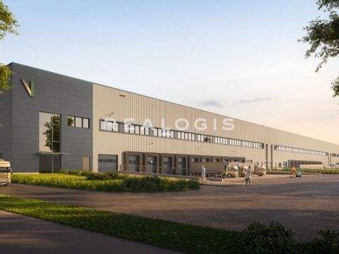 Berlin Halle, Berlin Hallenfläche