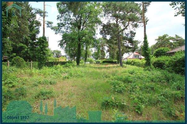 1997 Blick übers Grundstück.jpg