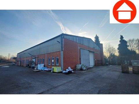 Moers Halle, Moers Hallenfläche