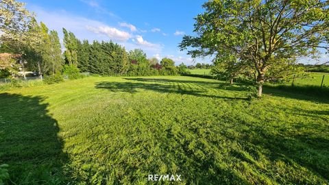 Breitenbrunn Grundstücke, Breitenbrunn Grundstück kaufen