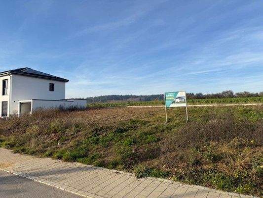 Foto Grundstück.jpg