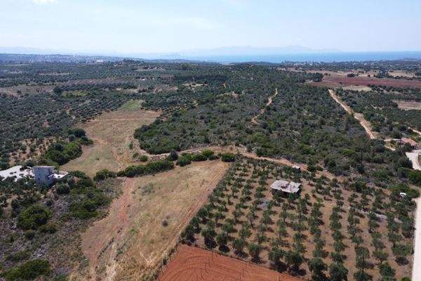 Kreta, Mouzouras: Flaches Grundstück mit Panoramablick zu verkaufen