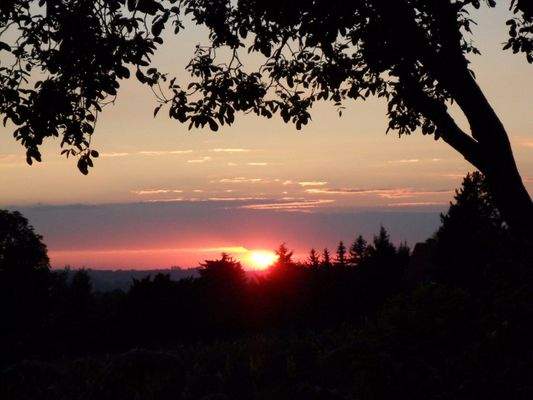 Sommerabendromantik auf der eigenen Terrasse