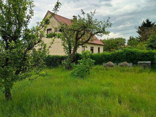 Außenansicht mit Gartengrundstück