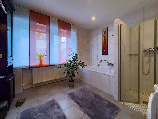 EG Badezimmer Ansicht 1