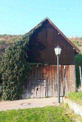 Bildschirmfoto 2025-09-03 um 09.00.20.jpg