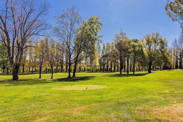 95551384-8173-493b-a097-621e95dfcebc_original