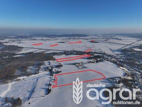 Niederfinow Bauernhöfe, Landwirtschaft, Niederfinow Forstwirtschaft