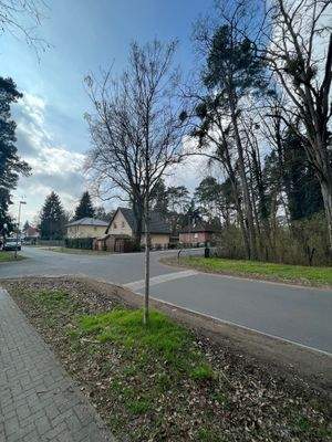 Umgebungsbebauung Moselstraße