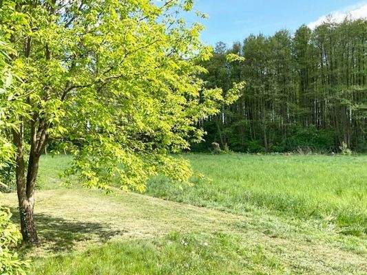 Einblick über den Gartenzaun