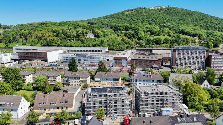 Mit Blick zum Petersberg