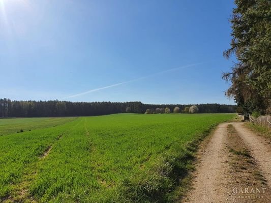 Aussicht vom Grundstück aus in die Ferne