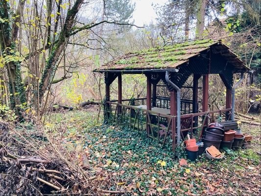 Blick in den Garten