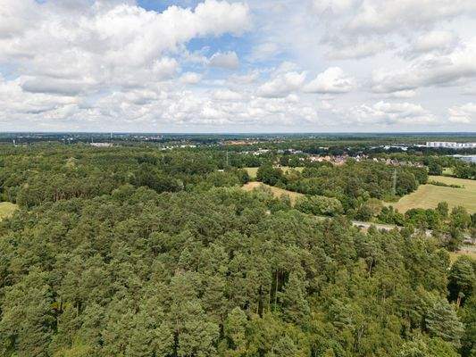 Südlich von Gifhorn, westlich der Gifhorner Straße (B4)