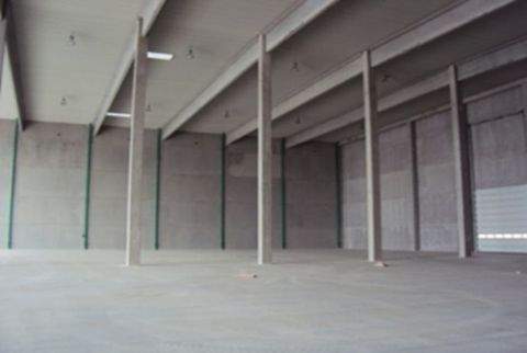 Wörth am Rhein Halle, Wörth am Rhein Hallenfläche