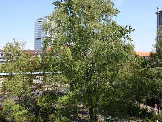 Ausblick Kinderzimmer