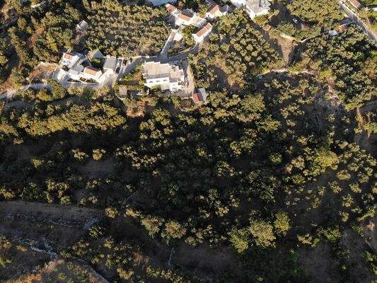 Kreta, Ag. Pavlos: Malerisches Grundstück in der Nähe von Gavalochori zum Verkauf