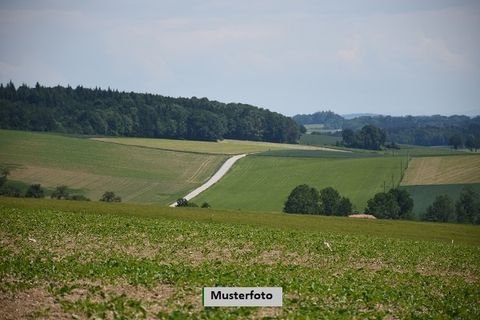 Karlstein an der Thaya Bauernhöfe, Landwirtschaft, Karlstein an der Thaya Forstwirtschaft