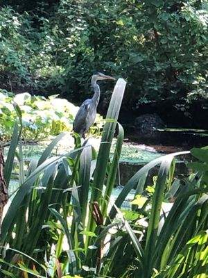 WhatsApp Image 2024-07-24 at 13.01.59 (2)