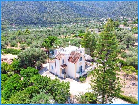 0c49210c4e1e4e8395a81245db930b86-original