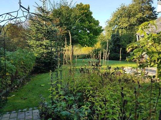 Hinterer Gartenbereich