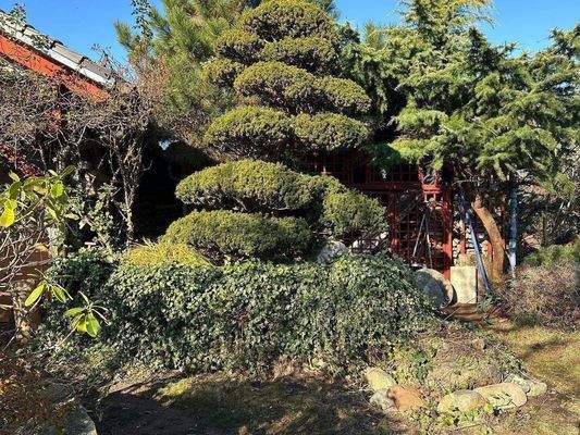 Haus-Grundstück 19.JPG