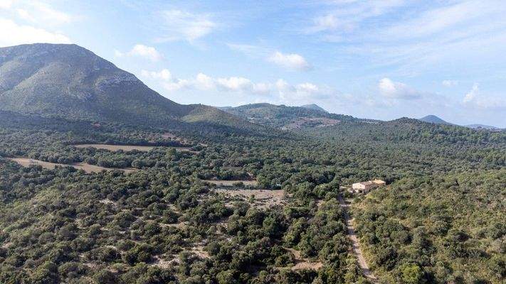 Landwirtschafts-Finca mit mehreren Gebäuden zum Verkauf in Arta, Mallorca