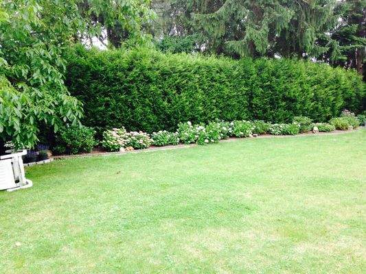 WhatsApp Image 2025-08-11 at 20.50.37.jpeg