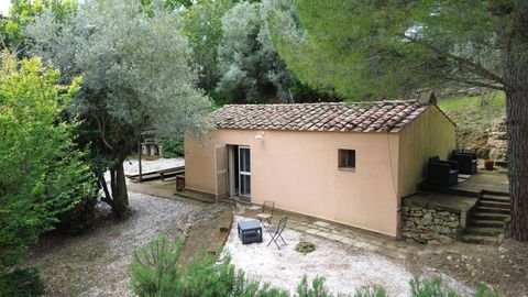 Casale Marittimo Häuser, Casale Marittimo Haus kaufen