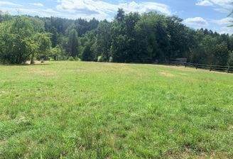 20230731_133507704_iOS