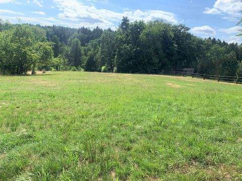 Schöllnach Bauernhöfe, Landwirtschaft, Schöllnach Forstwirtschaft