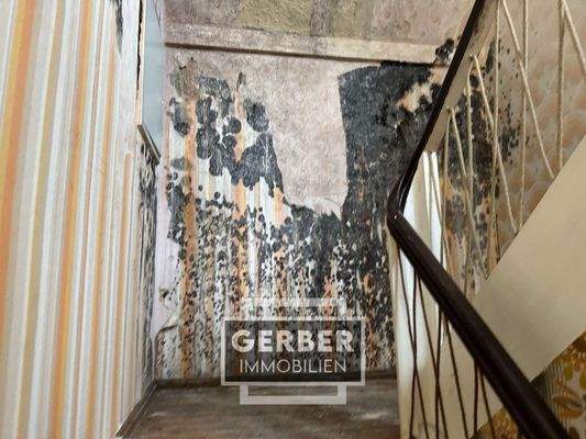 Schimmel Treppenhaus