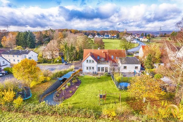 Blick in den Garten