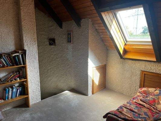 IMG_0116 - Kopie.JPG